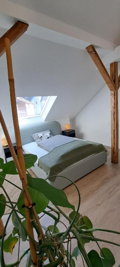 Waldstadt-Apartments イーザーローン エクステリア 写真